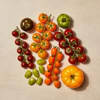 Read Isle of Wight Tomatoes Reviews